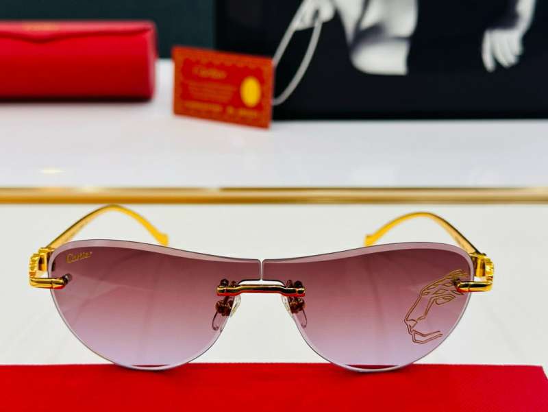 Picture of Cartier Sunglasses _SKUfw57312851fw